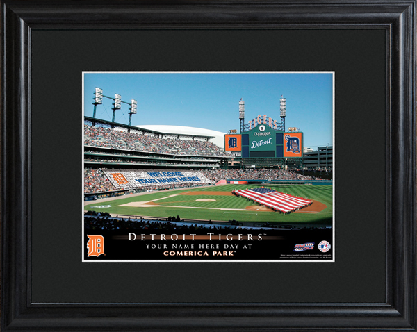 Custom MLB Stadium Black Framed Print