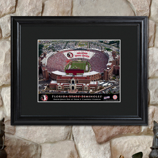 Custom College Football Stadium Black Wood Framed Print GC759