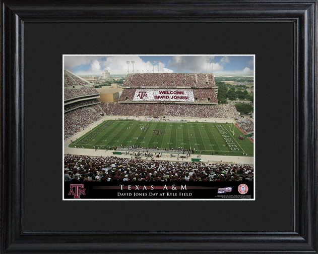Custom College Football Stadium Black Wood Framed Print