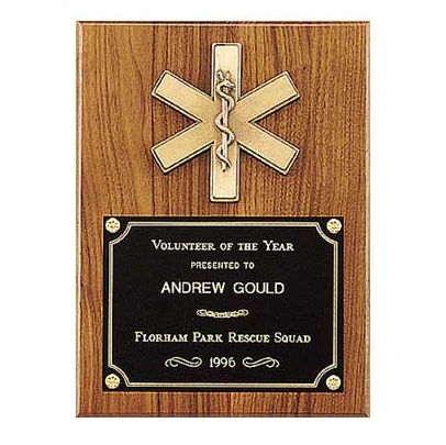 Star Of Life Medical Award Plaque P2930
